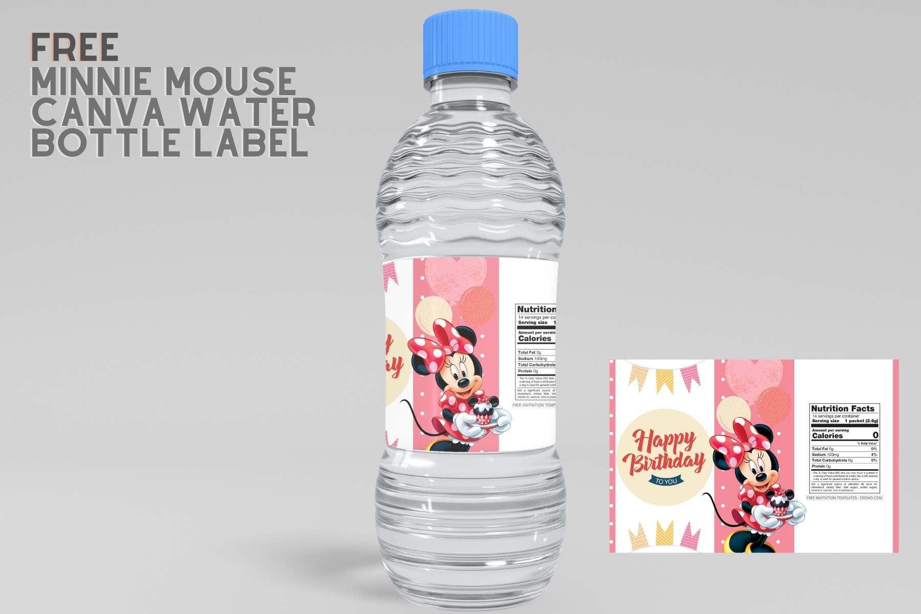New 'Frozen,' 'Toy Story,' Minnie, Mickey, and More Water Bottles