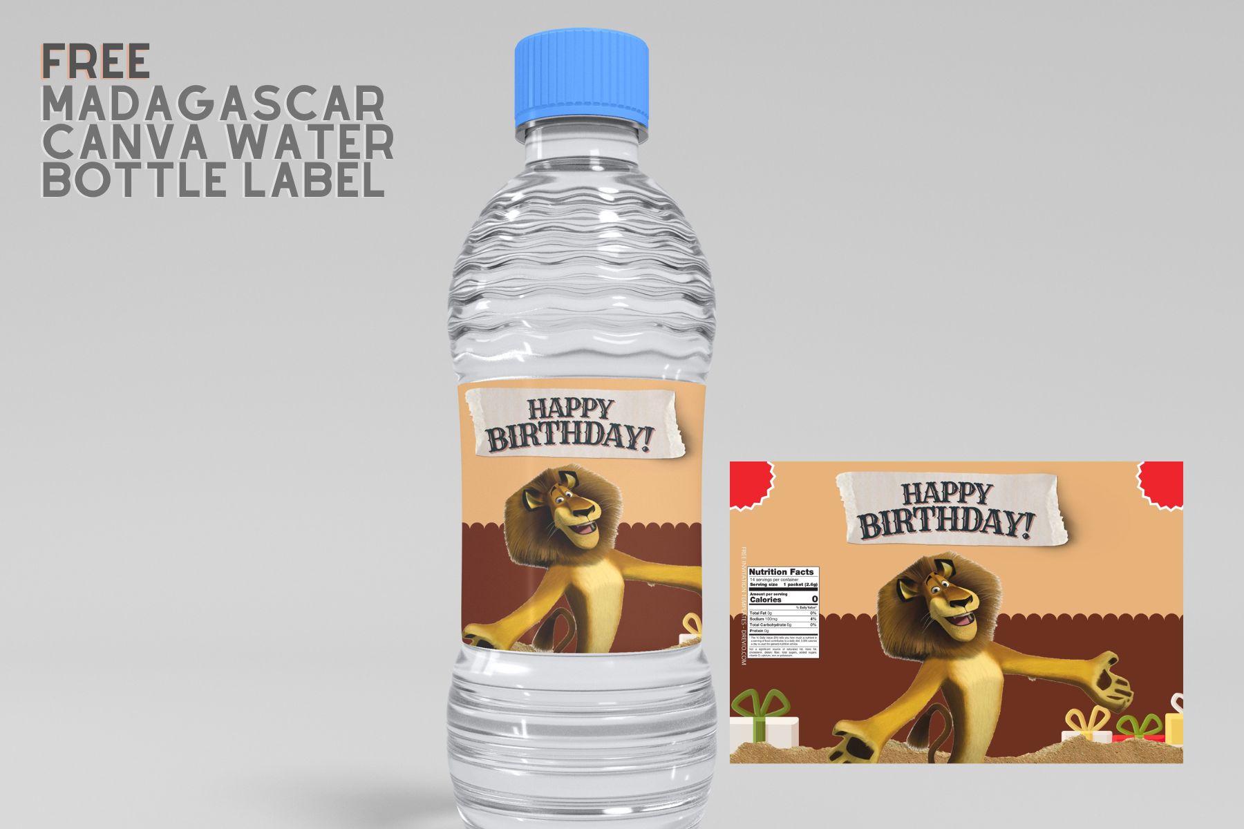 https://www.drevio.com/wp-content/uploads/2022/10/Free-Editable-Madagascar-Canva-Birthday-Water-Bottle-Labels.jpg