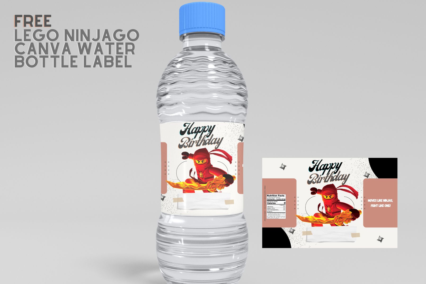 Printed Ninja Water Bottle Labels, Ninja Birthday Party Water Bottle  Labels, Ninja Birthday Party Favors 