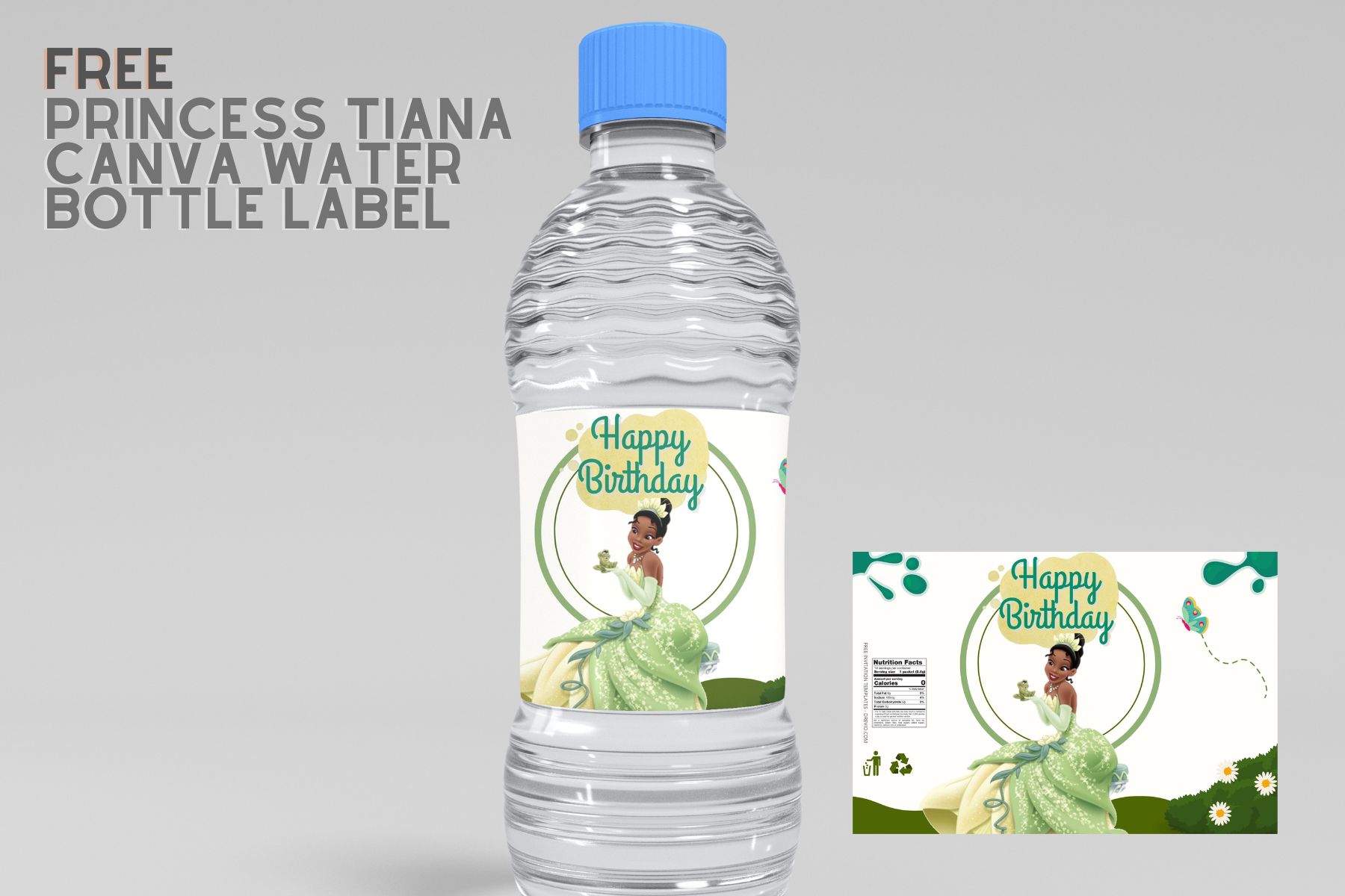 https://www.drevio.com/wp-content/uploads/2022/10/Free-Princess-Tiana-Canva-Birthday-Water-Bottle-Labels.jpg