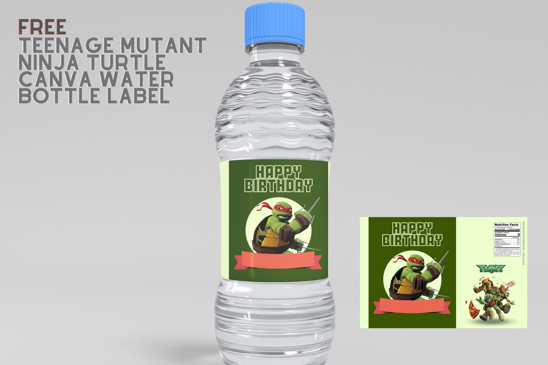Ninja Turtles Water Bottle Labels, Ninja Turtles Bottle Labels, Water  Labels, Ninja Turtles Birthday Party, DIY - MakeMeDesign