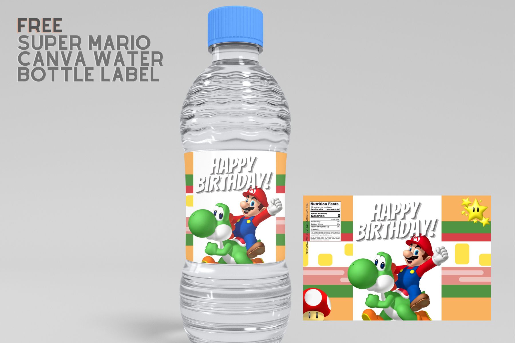 Encanto Birthday Water Bottle Label Template to Print at Home DIY